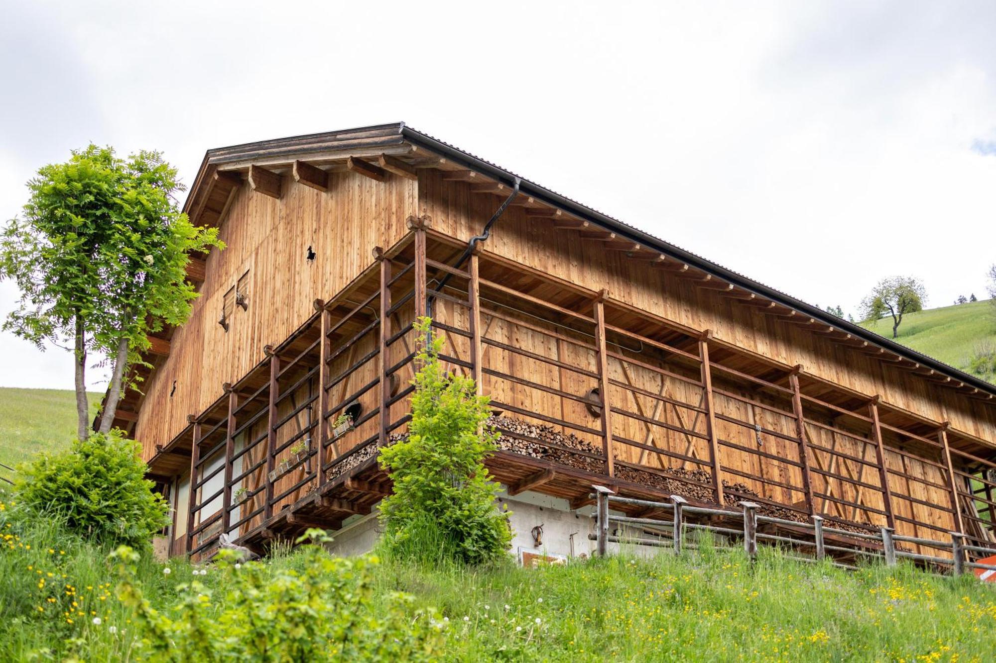 Bolser App Plan de Corones San Vigilio Di Marebbe Værelse billede